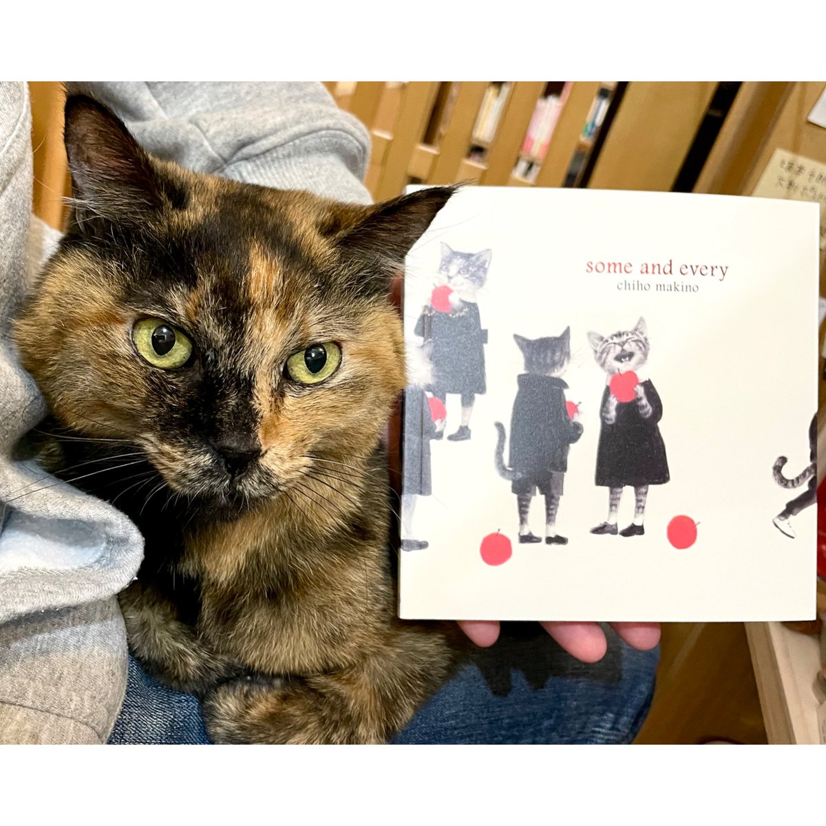 牧野千穂画集『some and every』 | Cat's Meow Books Virtu