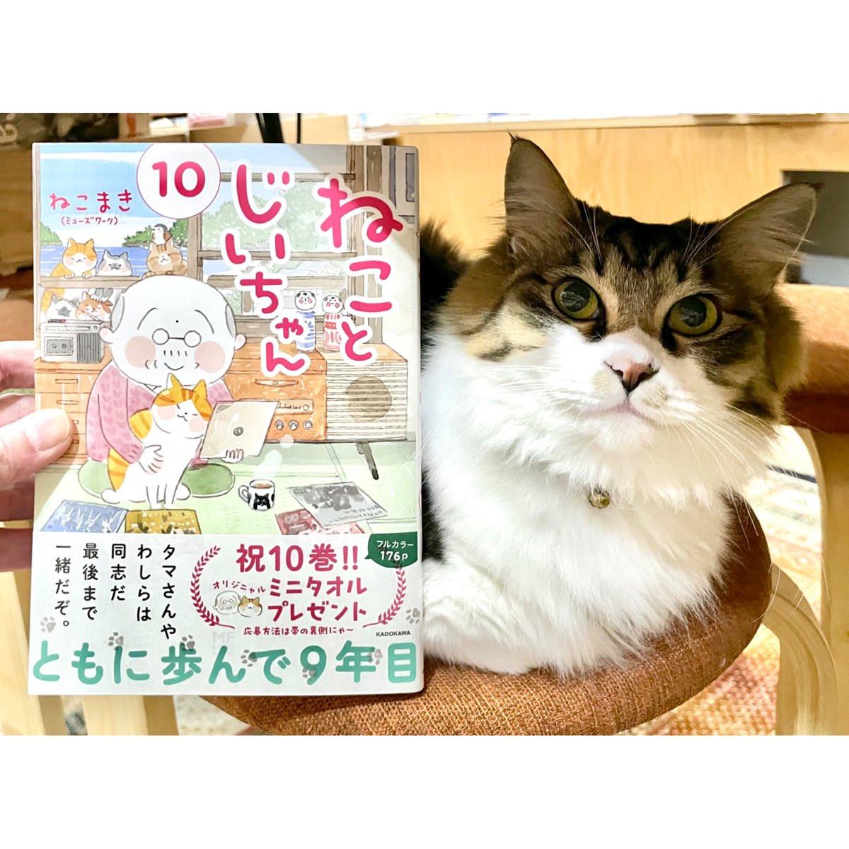 まとめ買い】 レジン NO.129♡おすまし猫ちゃん♡やっぱり海も好き