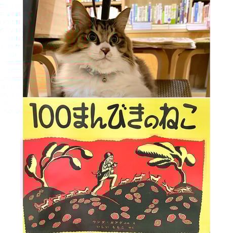 CATEGORY 絵本 | Cat's Meow Books Virtual Shop β