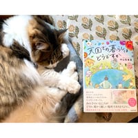 ひげよ、さらば（上中下巻3冊セット） | Cat's Meow Books Virtual S