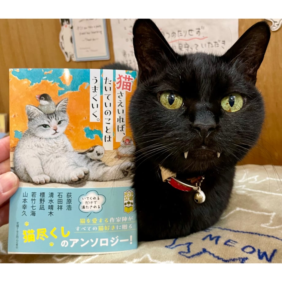 677f85b8d8e56a08452ed79e