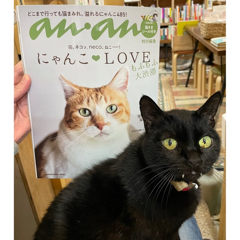 anan特別編集 にゃんこLOVE もふもふ大渋滞 | Cat's Meow Books Vi