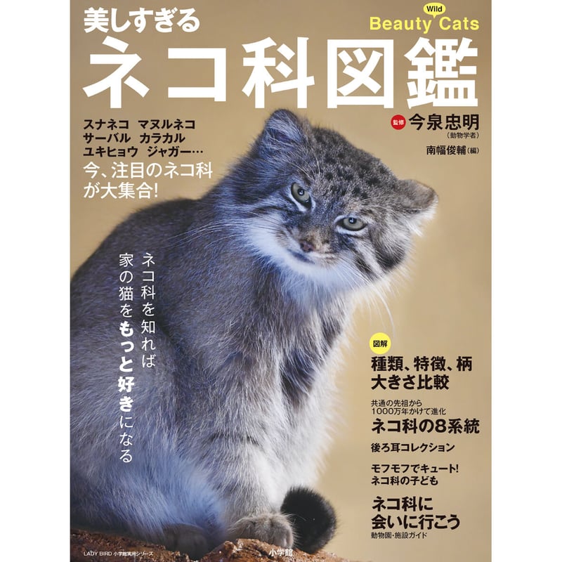 美しすぎるネコ科図鑑 | Cat's Meow Books Virtual Shop β