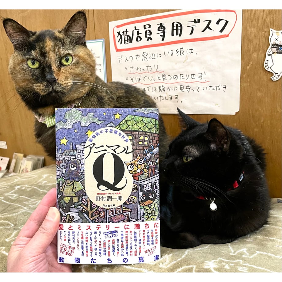 68391ca35db914bf6f999375