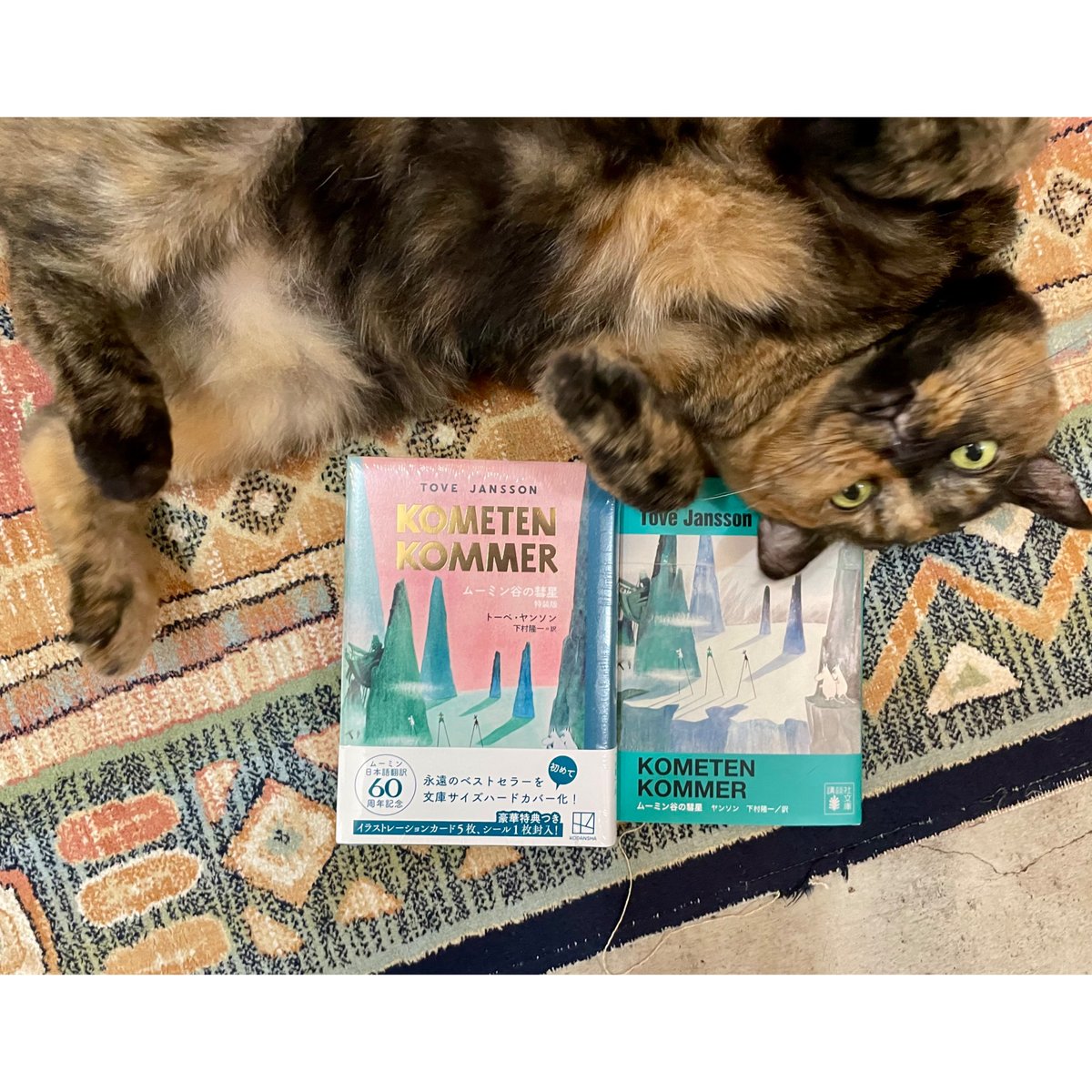 ムーミン谷の彗星 特装版 | Cat's Meow Books Virtual Shop β