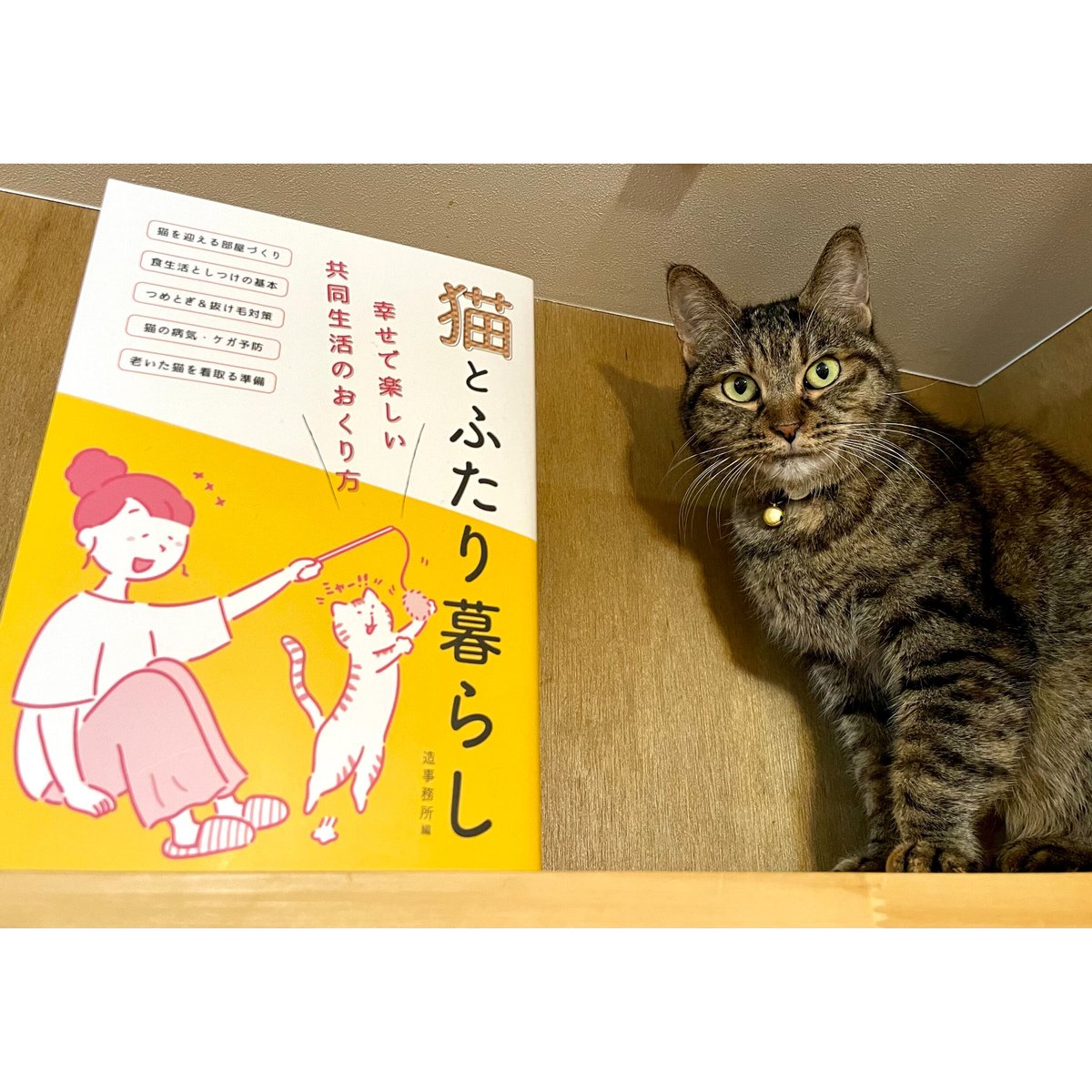 猫とふたり暮らし | Cat's Meow Books Virtual Shop β