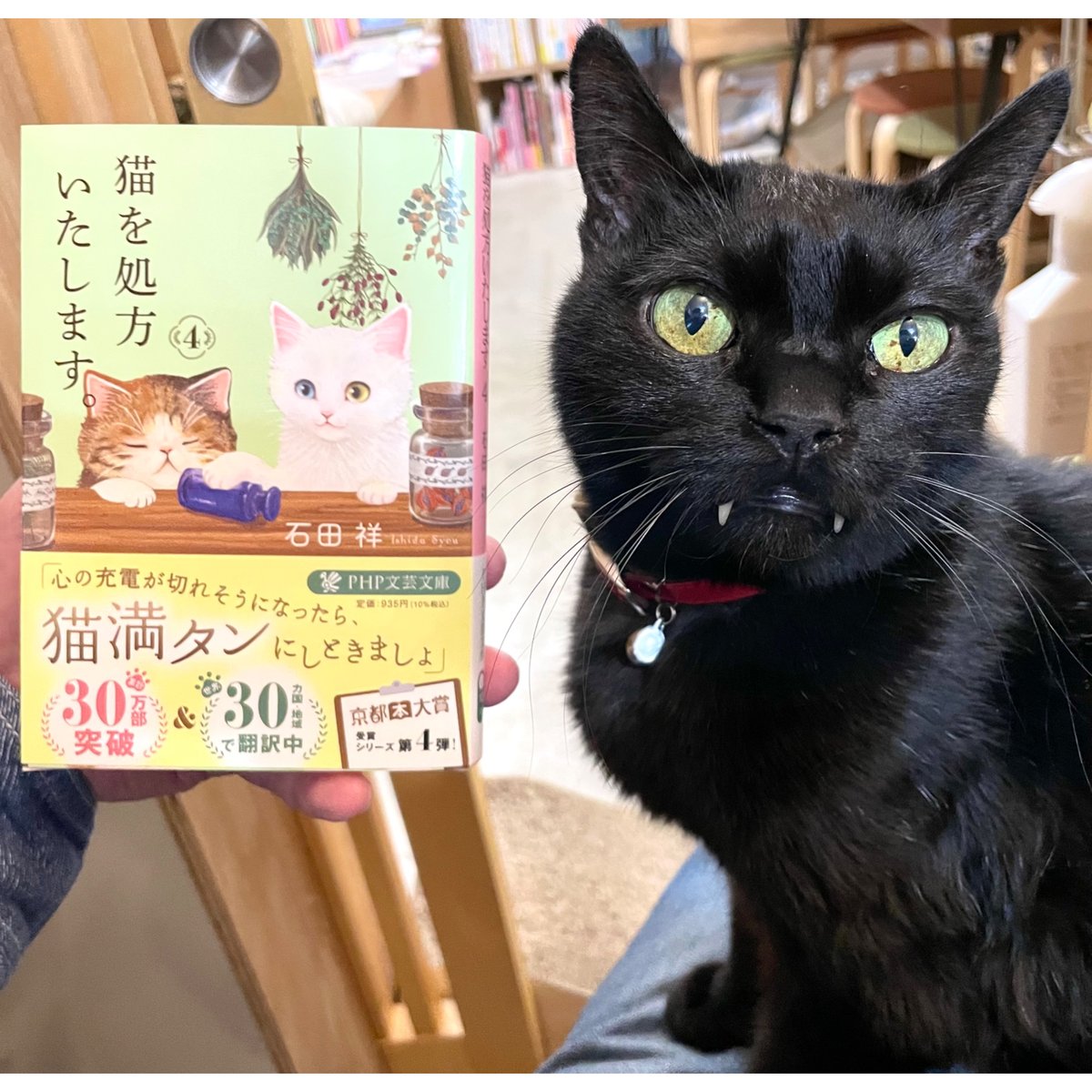 猫を処方いたします。(1~4巻) | Cat's Meow Books Virtual Shop β 猫を処方いたします。(1~4巻) | Cat's Meow Books Virtual Shop β