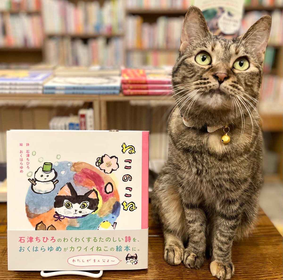 謎の本 ねこむし 3 / イタガキ ノブオ【作・絵】 - 紀伊國屋書店ウェブ