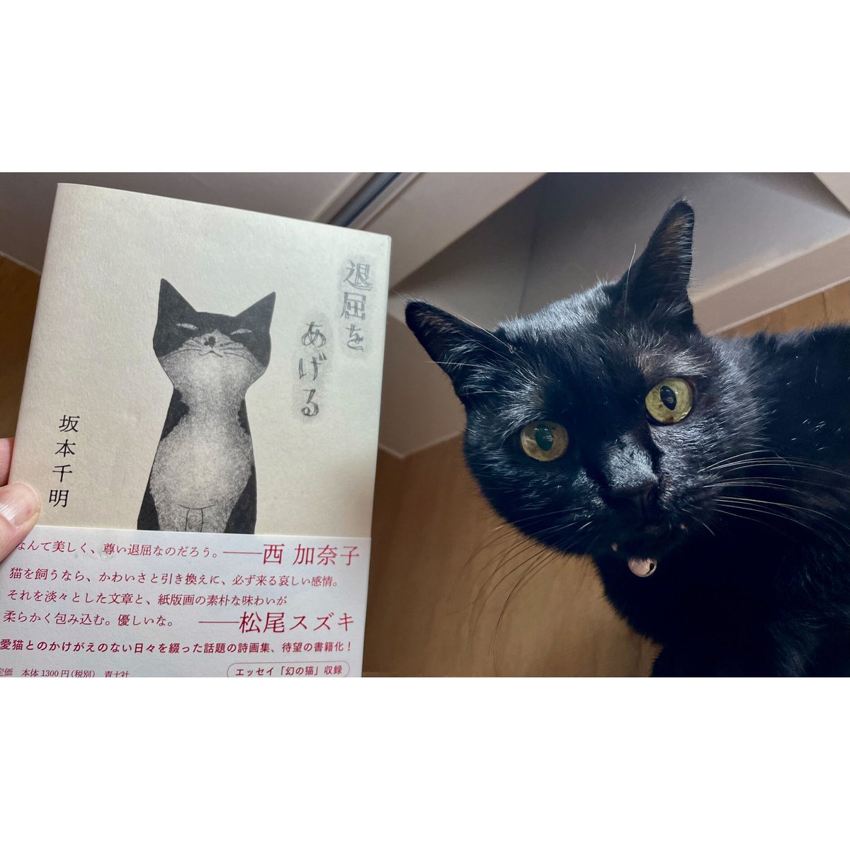 退屈をあげる | Cat's Meow Books Virtual Shop β