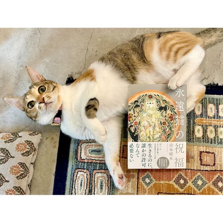 Cat's Meow Books Virtual Shop β