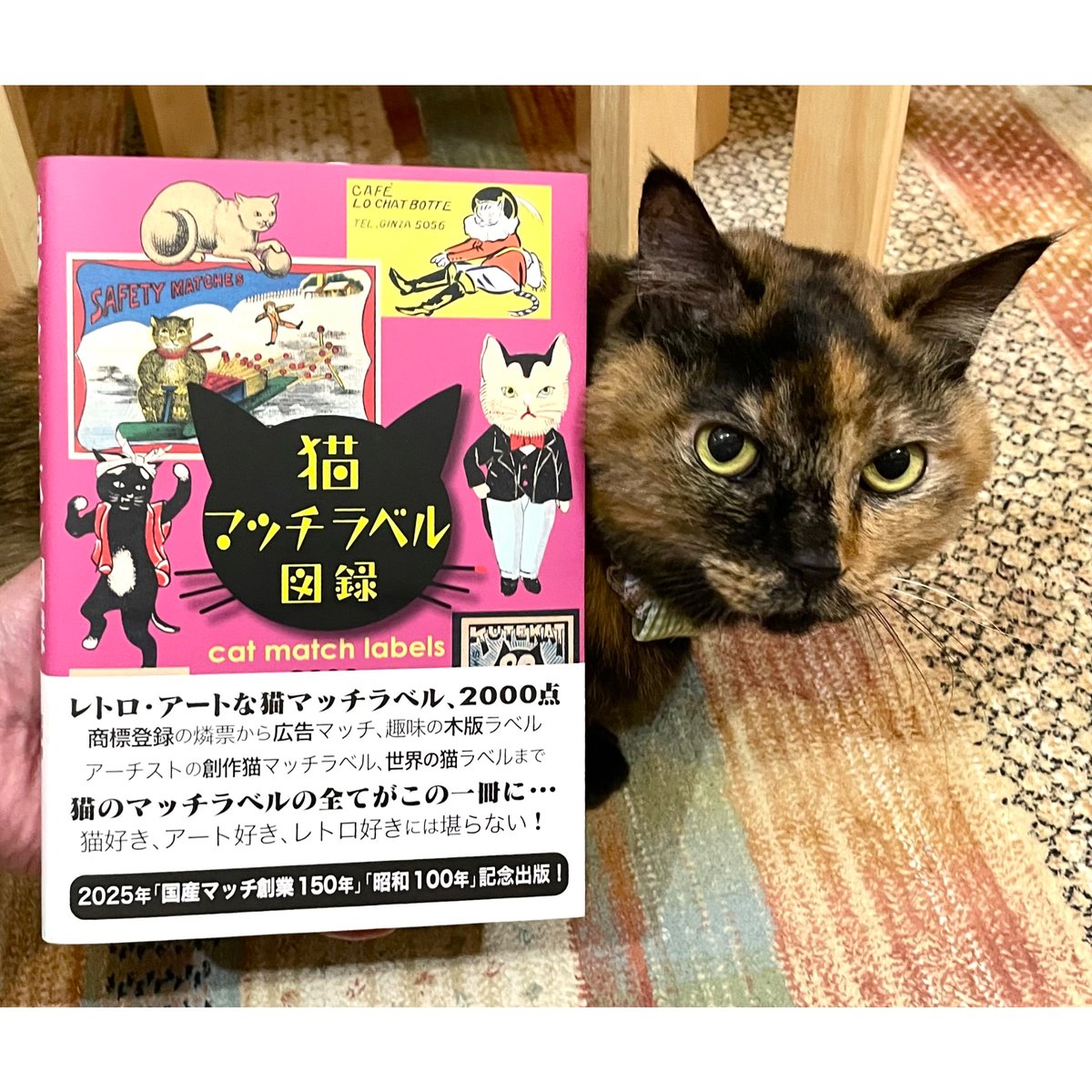 猫マッチラベル図録 | Cat's Meow Books Virtual Shop β