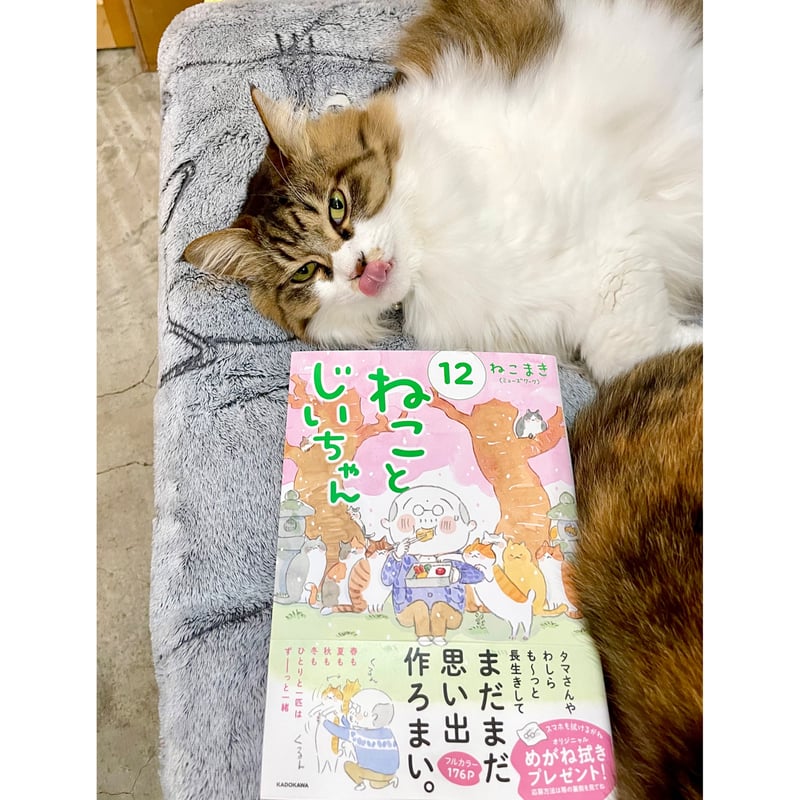 ねことじいちゃんコンプリートセット　１〜12巻プラスレシピノート ねことじいちゃん（1～12巻） | Cat's Meow Books Virtual Shop β