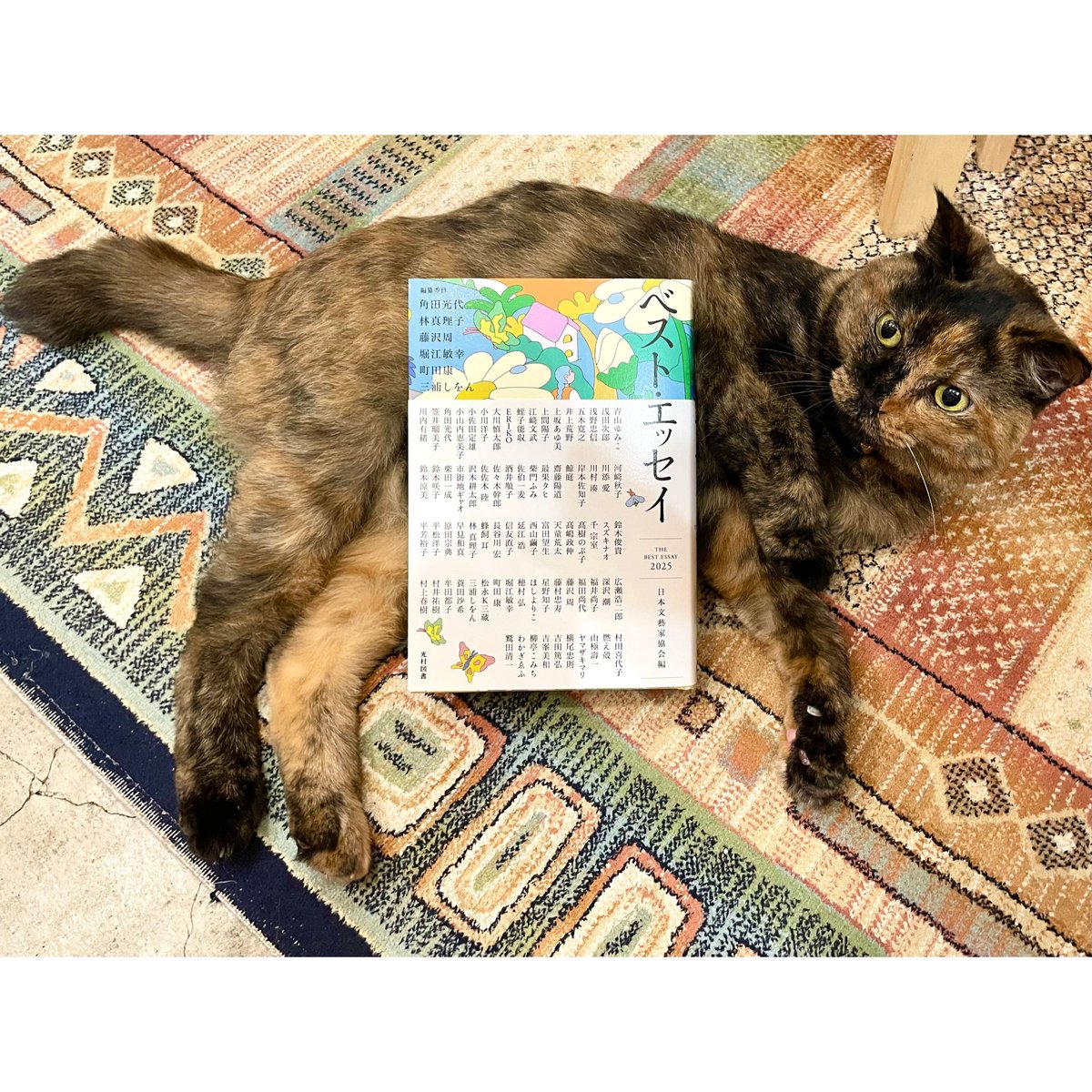 ベスト・エッセイ2025 | Cat's Meow Books Virtual Shop β