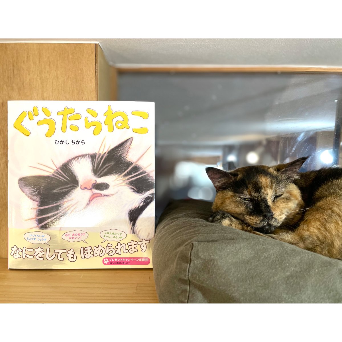 銅版画応用絵画 title「プカプカ猫」