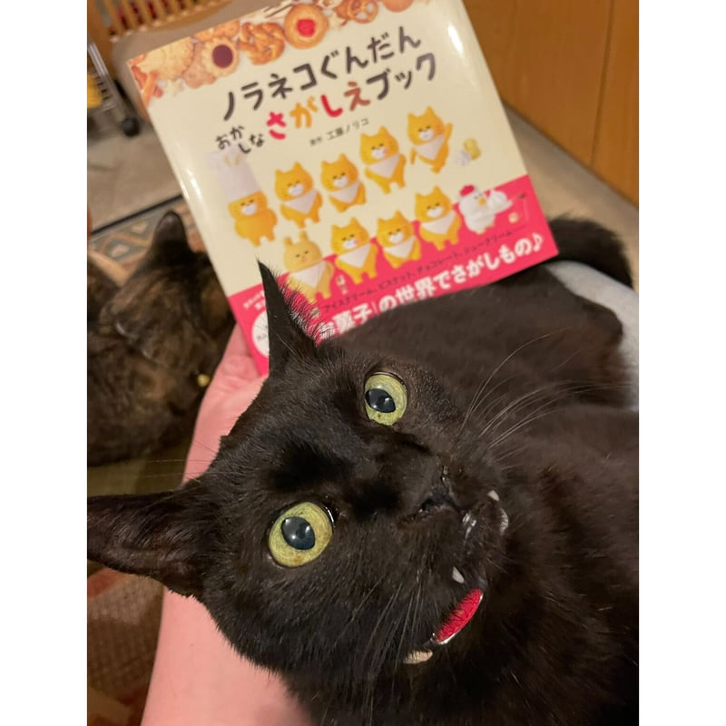 ノラネコぐんだん おかしなさがしえブック | Cat's Meow Books Virtual