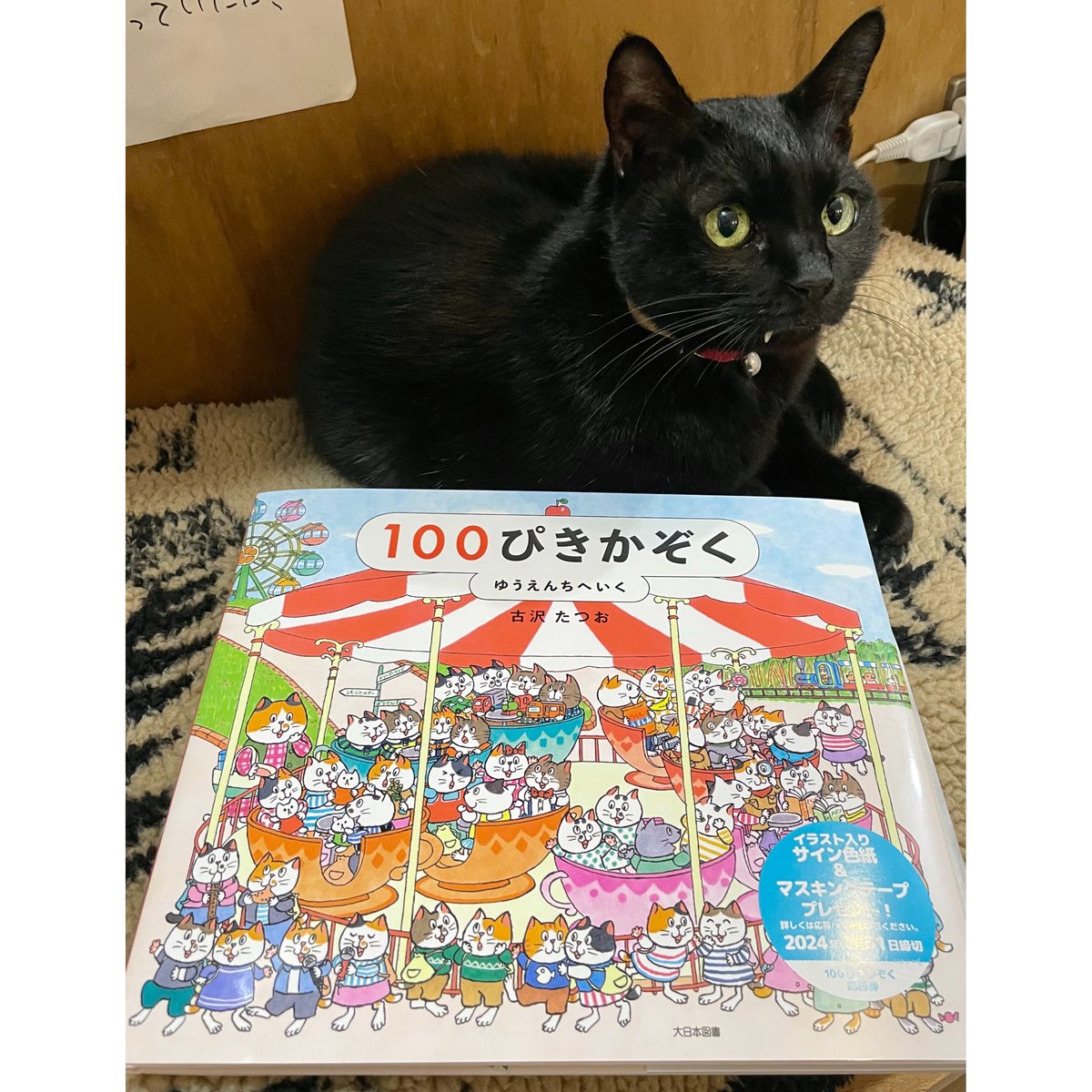 直筆サイン入り】100ぴきかぞく ゆうえんちへいく | Cat's Meow Books V