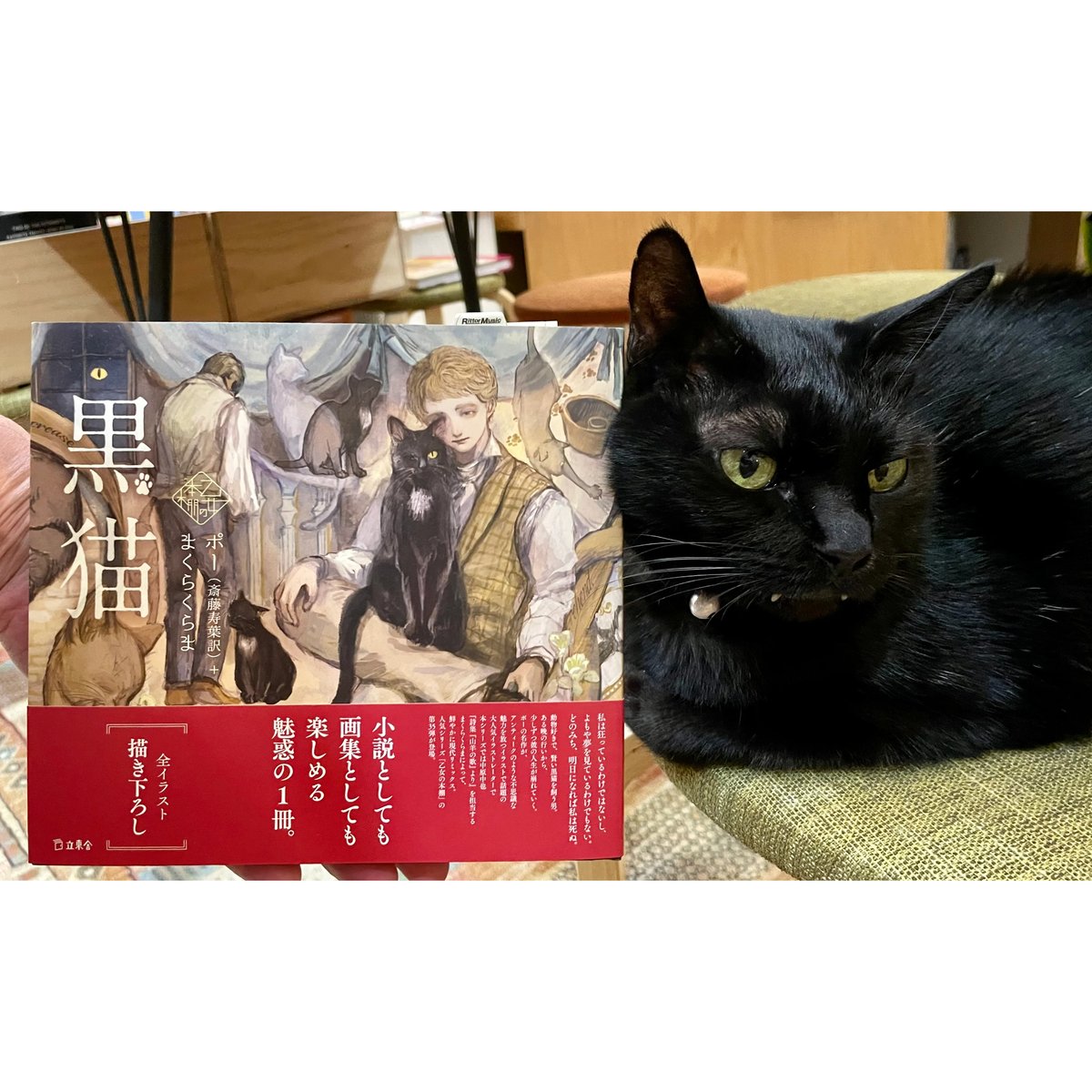 乙女の本棚 黒猫 | Cat's Meow Books Virtual Shop β 乙女の本棚 黒猫 | Cat's Meow Books Virtual Shop β