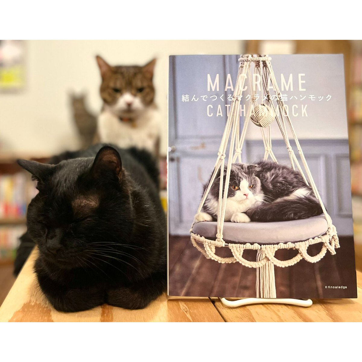 結んでつくるマクラメの猫ハンモック | Cat's Meow Books