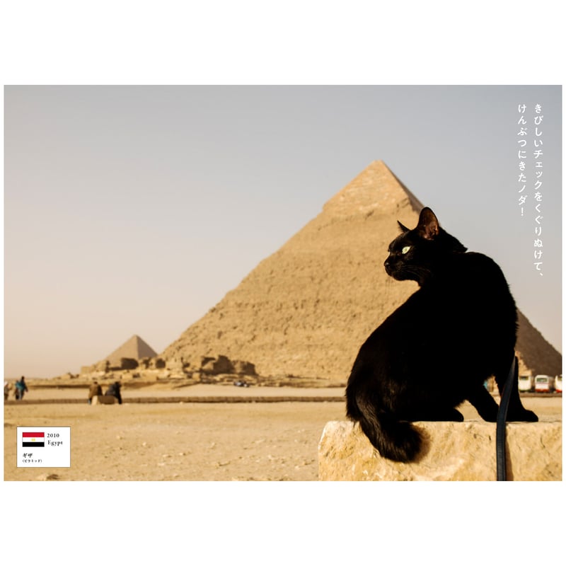 限定スタンプ入り】世界を旅する黒猫ノロ 飛行機に乗って37ヵ国へ