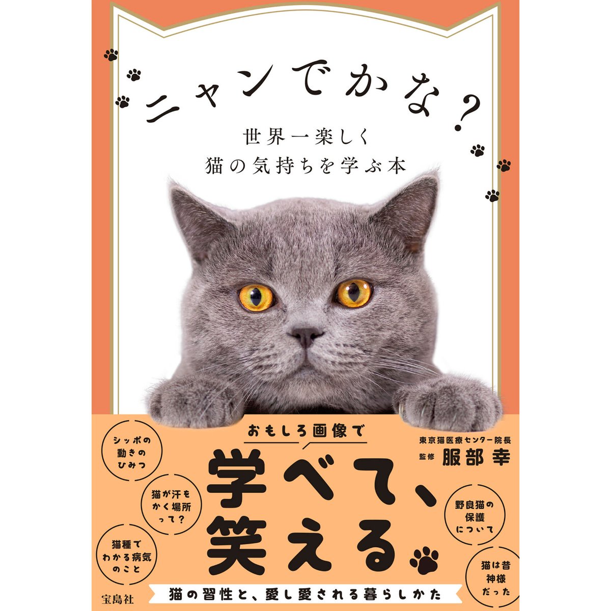 Meow　ニャンでかな？世界一楽しく猫の気持ちを学ぶ本　Books　Cat's　Virtu...