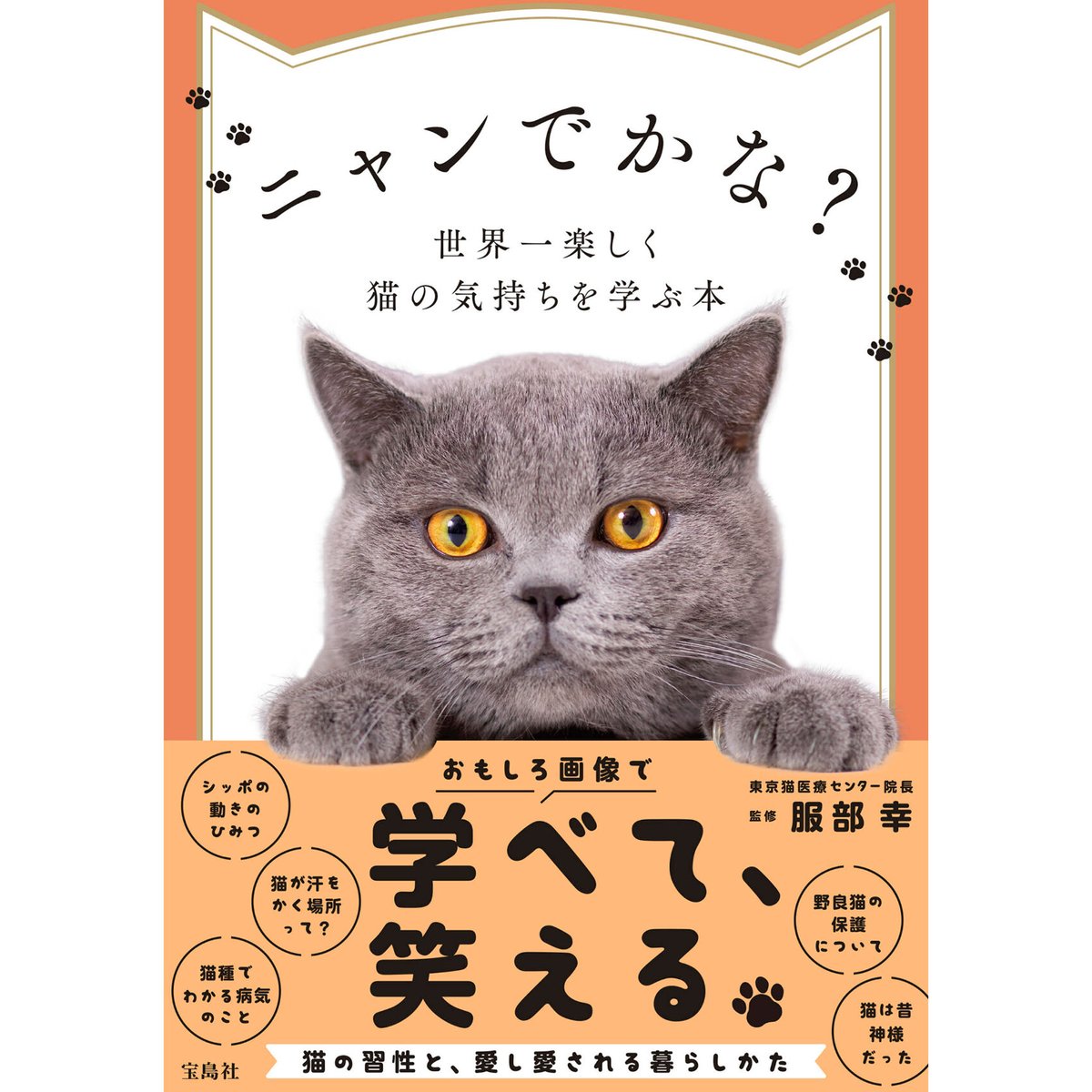 ニャンでかな？世界一楽しく猫の気持ちを学ぶ本 | Cat's Meow