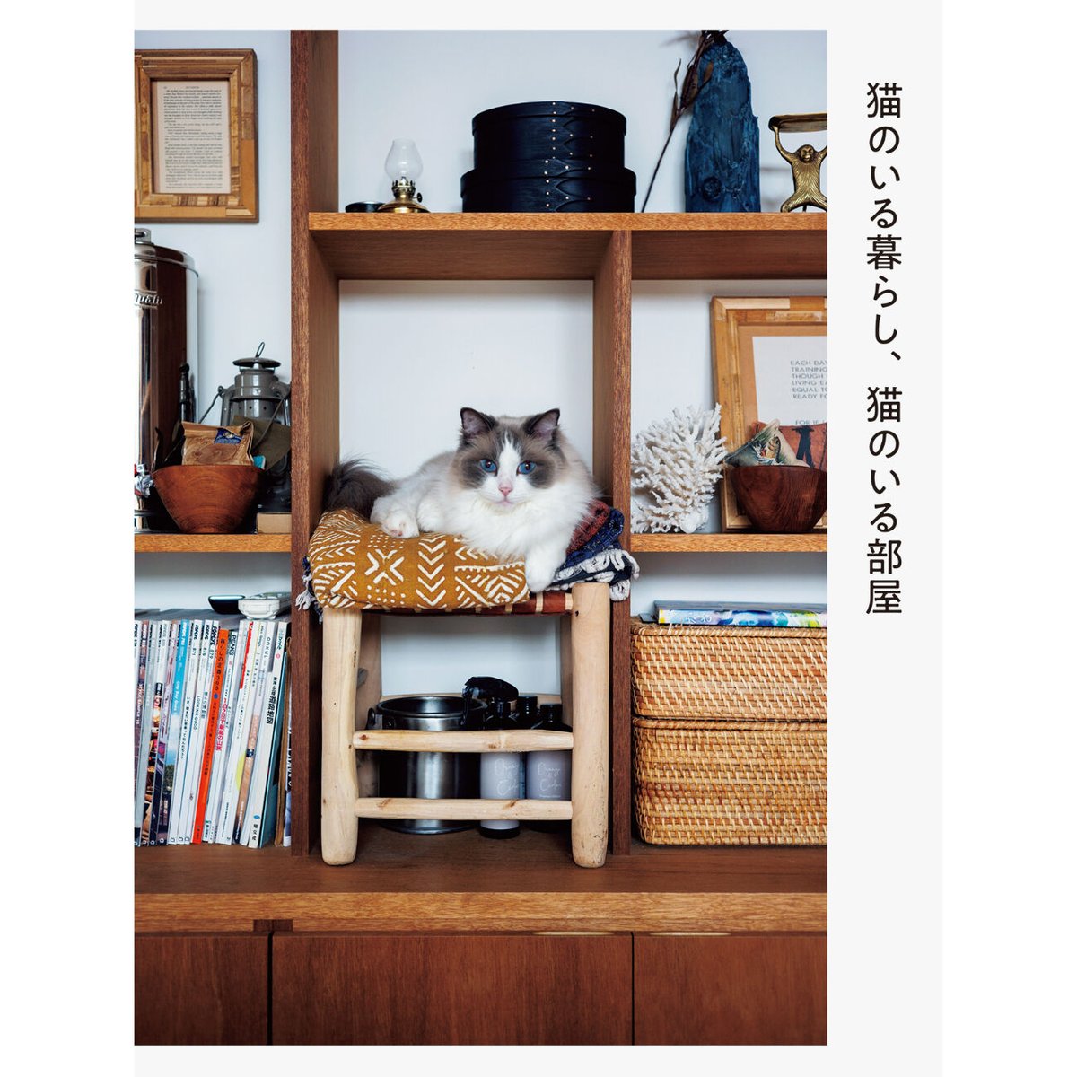 猫のいる暮らし、猫のいる部屋 | Cat's Meow Books Virtual Shop β