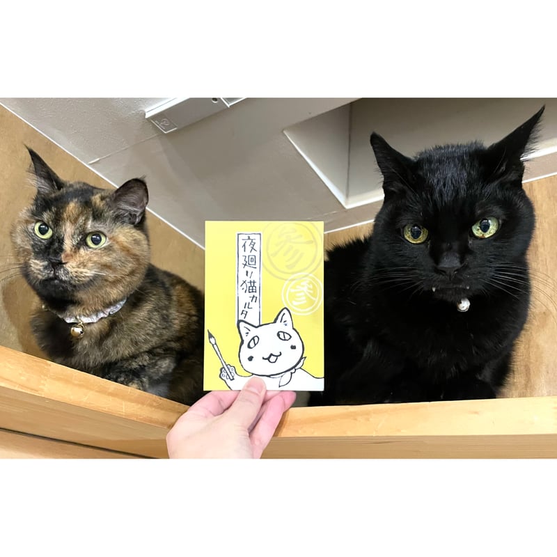 夜廻り猫 1〜9巻セット ポストカード付き 夜廻り猫 9 ポストカード付き - メルカリ