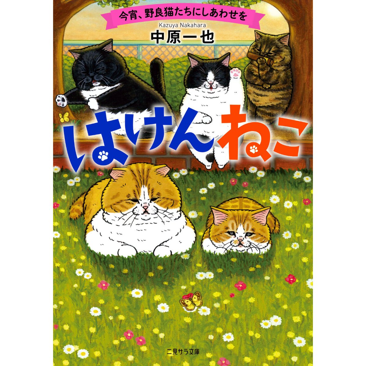 【ねこさん専用】NN前期テキスト＆模試セット はけんねこ（全4巻） | Cat's Meow Books Virtual Shop β
