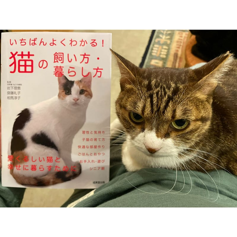 いちばんよくわかる！猫の飼い方・暮らし方 | Cat's Meow Books Virtual