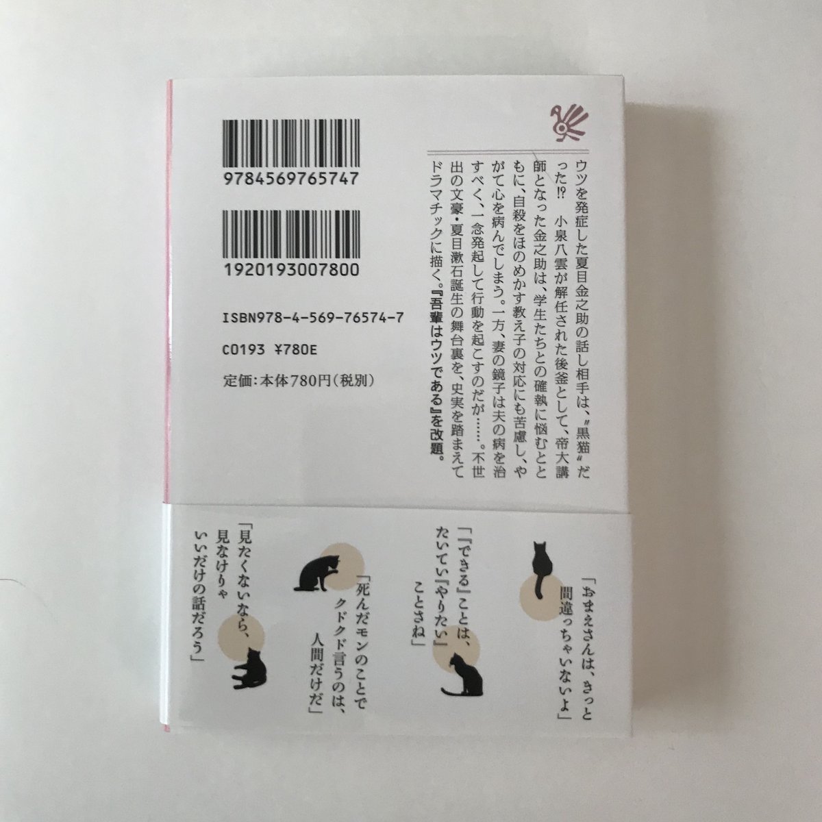 猫先生 81HgKFMSVwL._UF350,350_QL50_.jpg