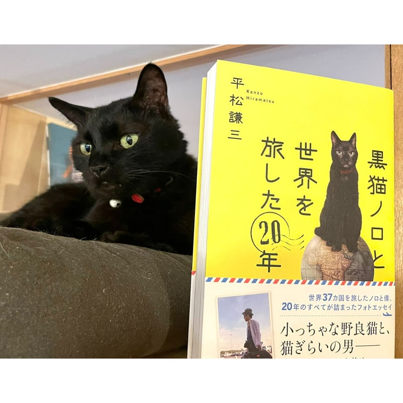 限定スタンプ入り】黒猫ノロと世界を旅した20年 | Cat's Meow Books Vir