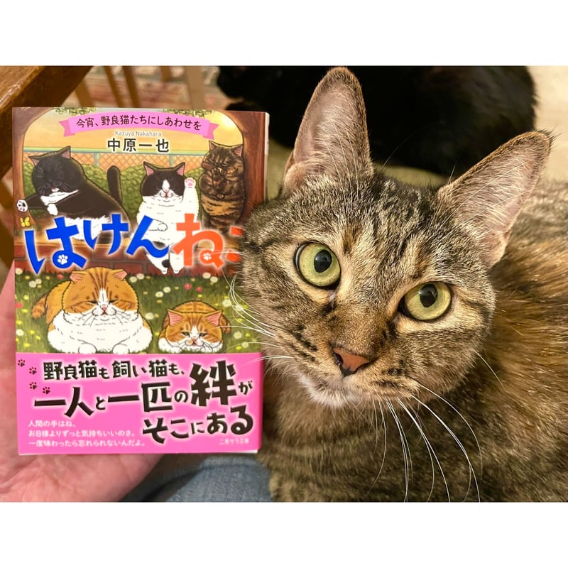 はけんねこ（全4巻） | Cat's Meow Books Virtual Shop β