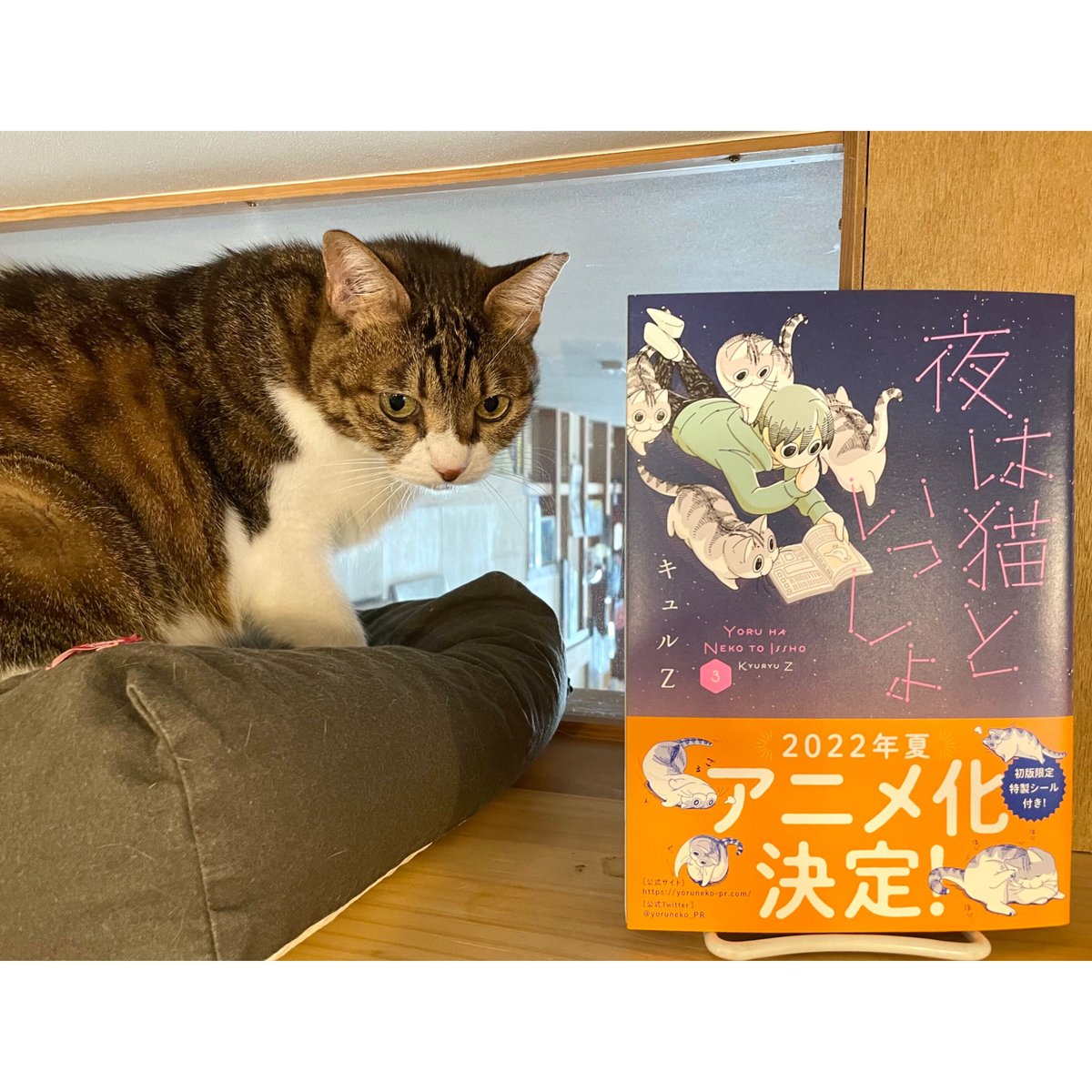 夜は猫といっしょ（1～5巻） | Cat's Meow Books Virtual Shop β