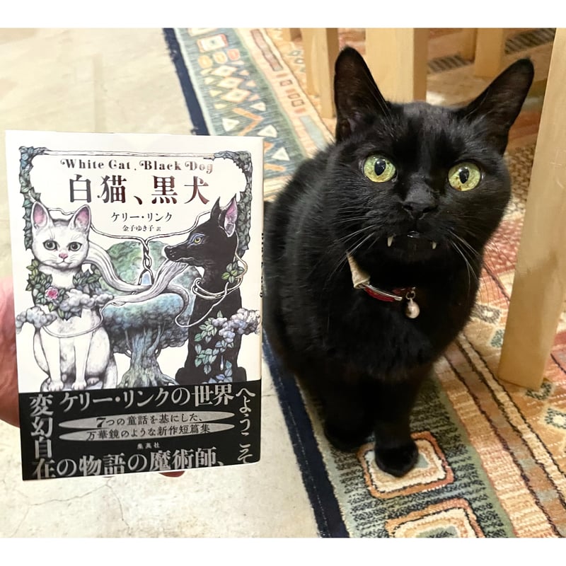 白猫、黒犬 | Cat's Meow Books Virtual Shop β