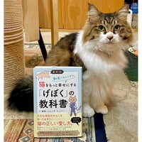乙女の本棚 黒猫 | Cat's Meow Books Virtual Shop β