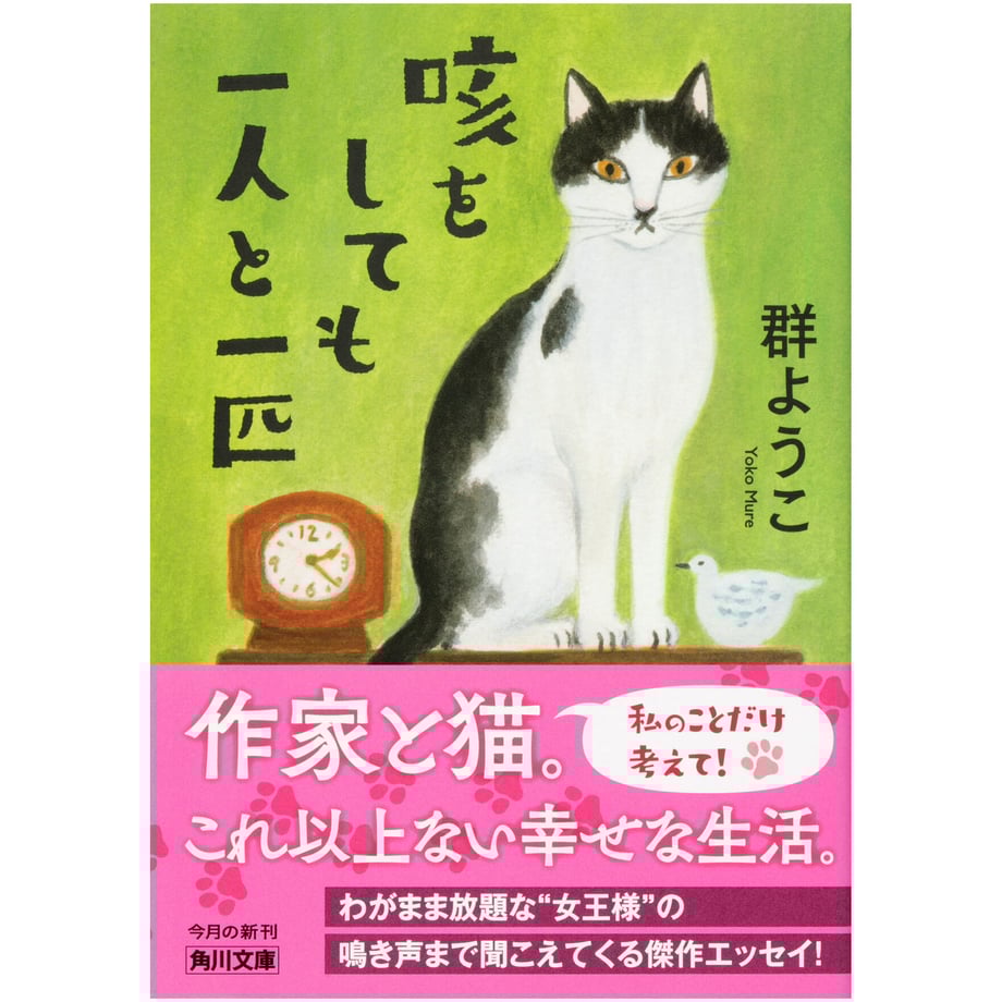 6228606a047a9d7b3cddce49