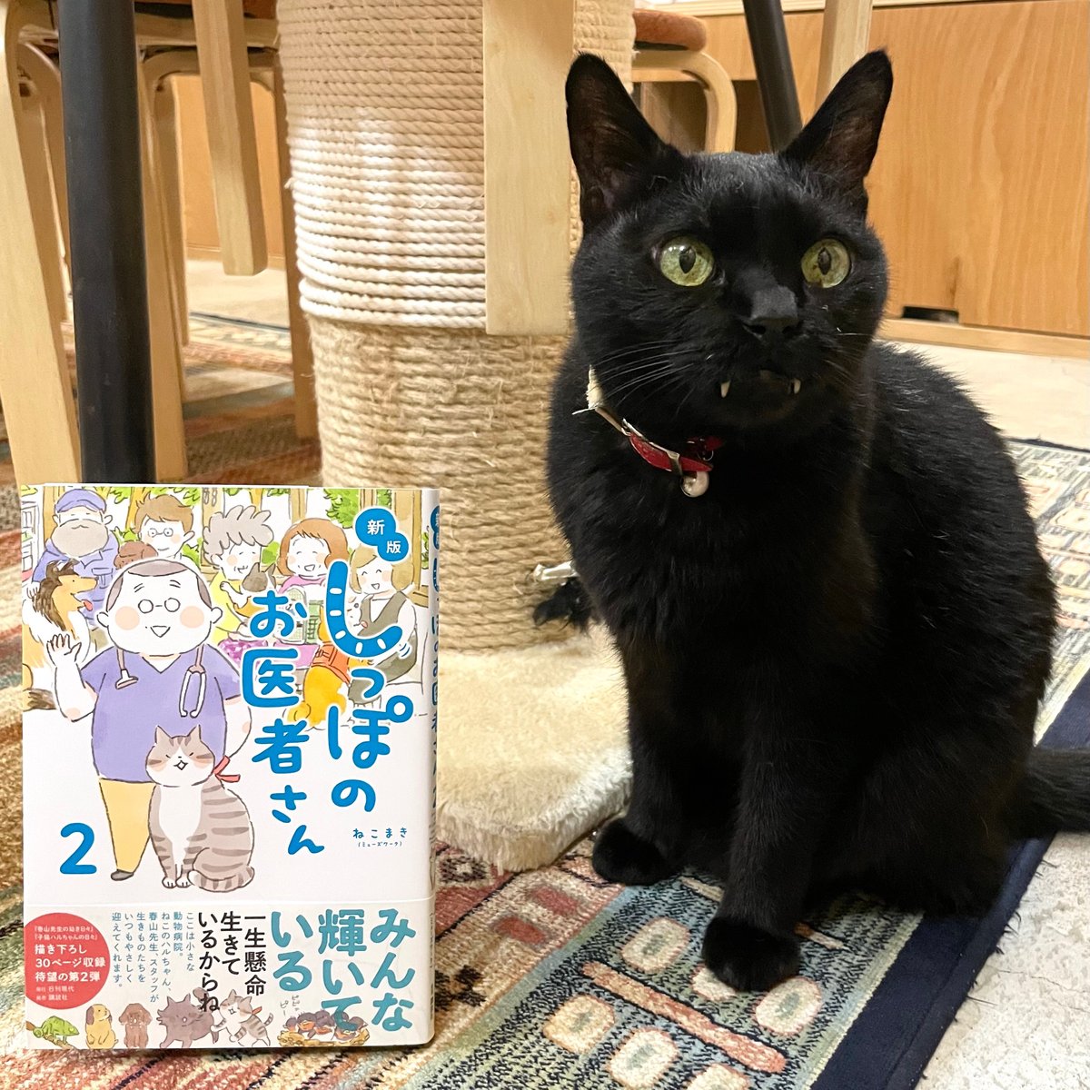 新版 しっぽのお医者さん (1～4巻） | Cat's Meow Books Virtual