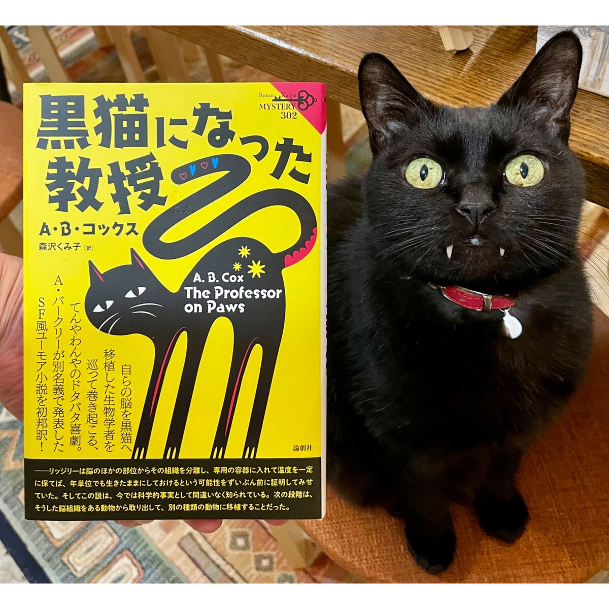 Cat's　Books　Virtual　黒猫になった教授　β　Meow　Shop