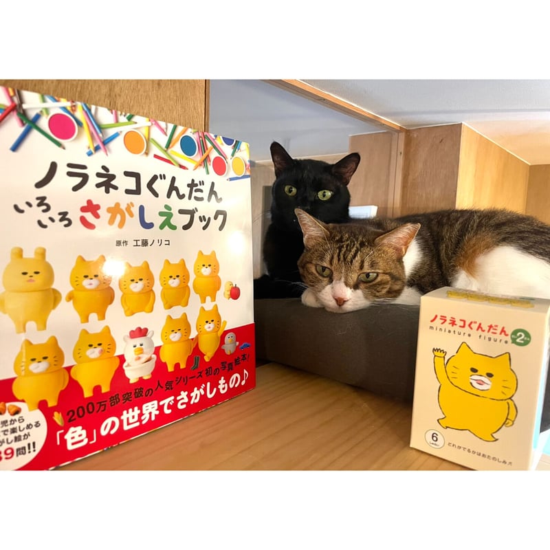 ノラネコぐんだん いろいろ さがしえブック | Cat's Meow Books