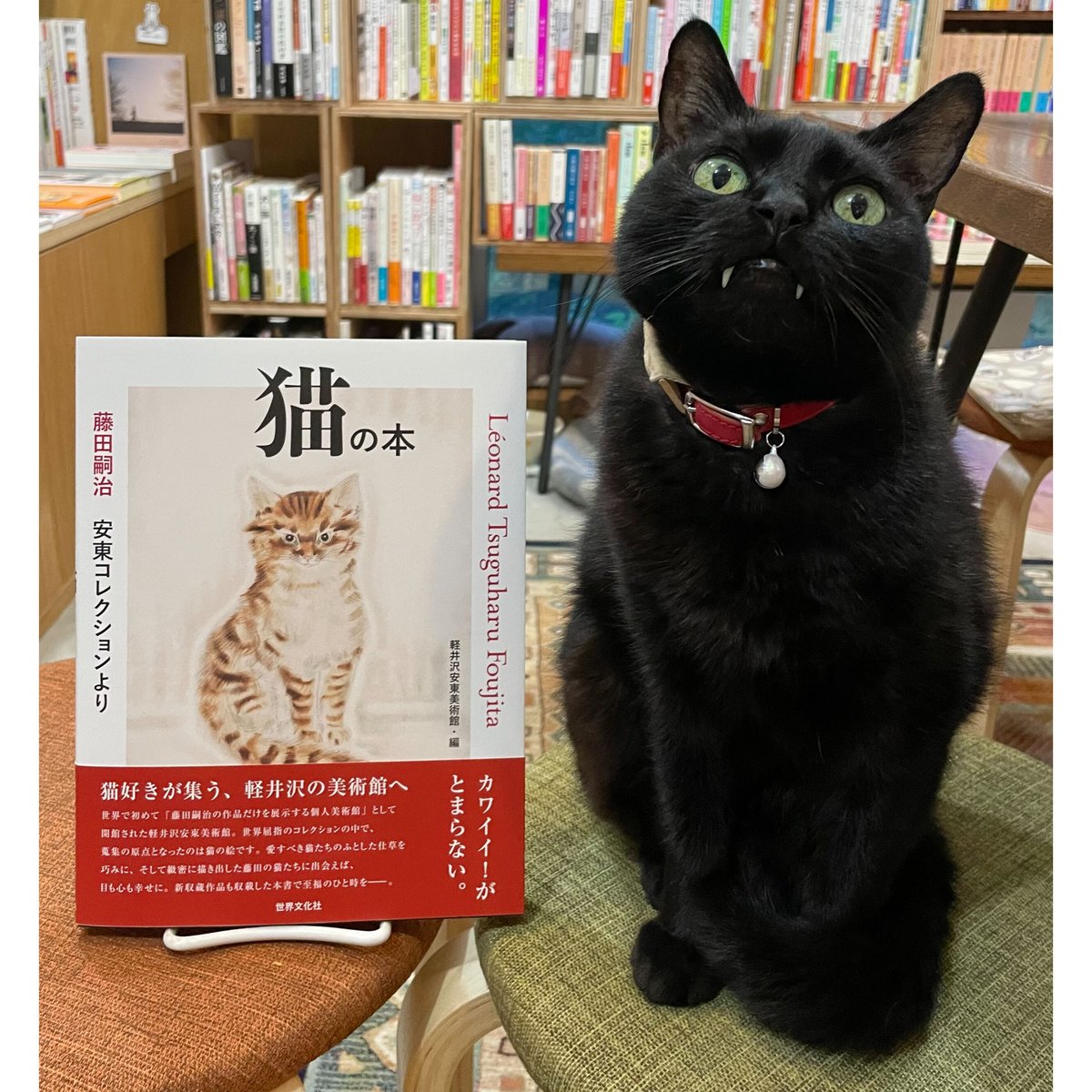 藤田嗣治 安東コレクションより 猫の本 | Cat's Meow Books 藤田嗣治 安東コレクションより 猫の本 | Cat's Meow Books