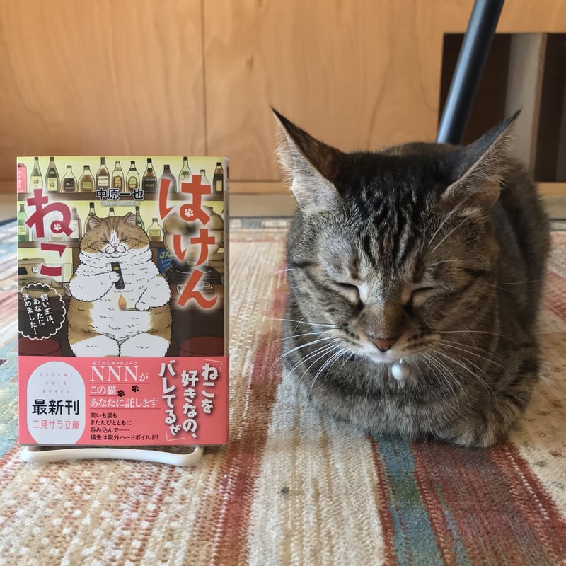 はけんねこ(全4巻) | Cat's Meow Books Virtual Shop β はけんねこ(全4巻) | Cat's Meow Books Virtual Shop β