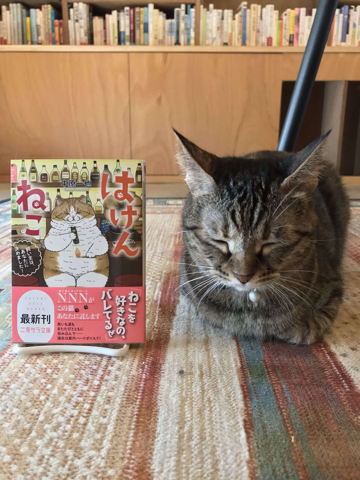 ゆとり炉 一輪挿し のそき見シリーズ 猫 【公式通販】