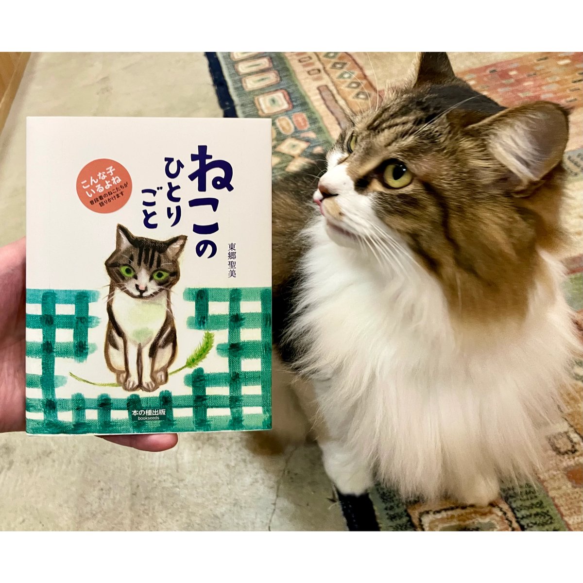 ねこのひとりごと | Cat's Meow Books Virtual Shop β