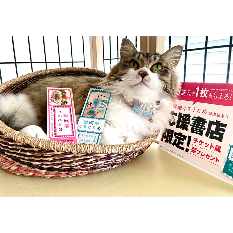 特製しおり付き】遊園地ぐるぐるめ | Cat's Meow Books Virtual Sh