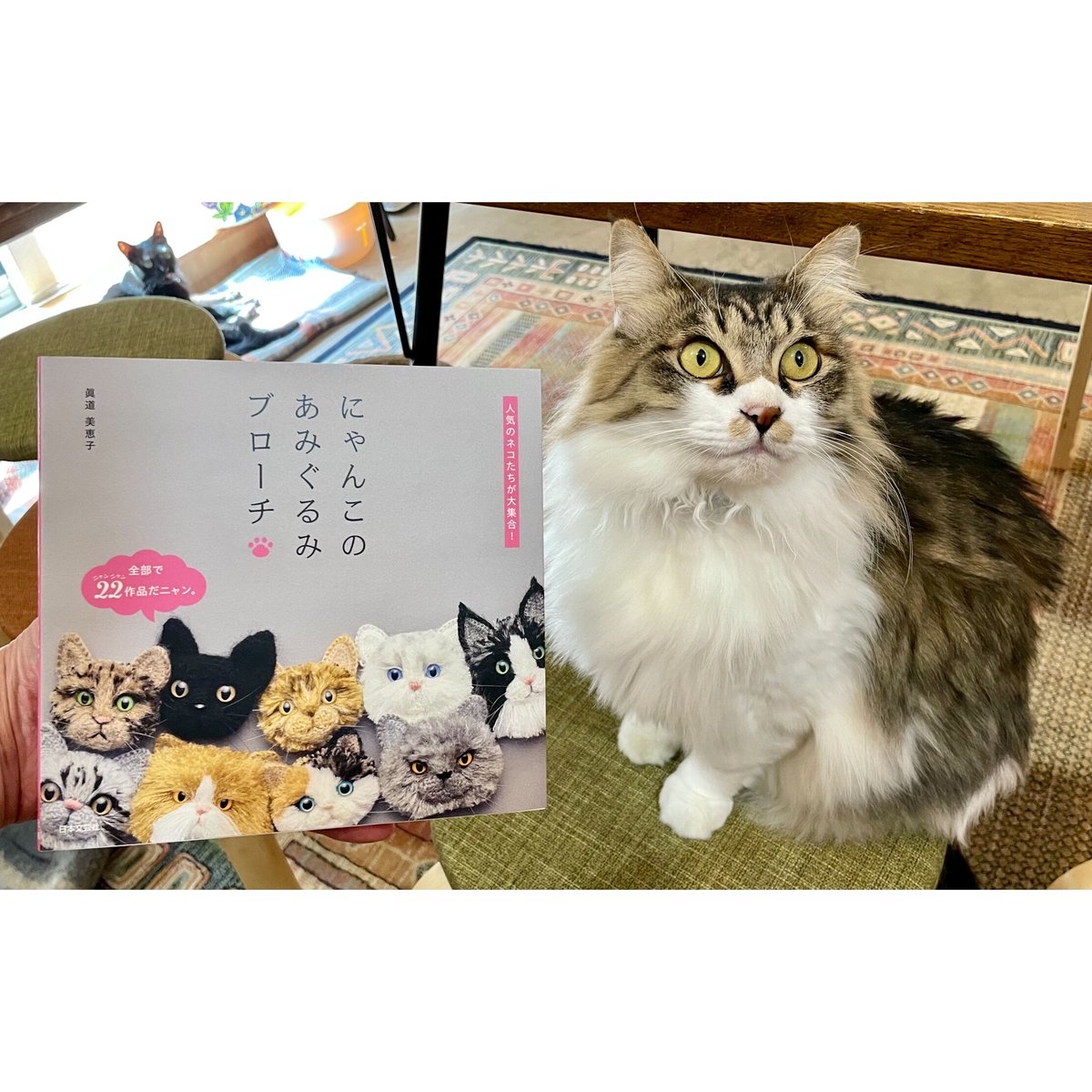 にゃんこのあみぐるみブローチ | Cat's Meow Books Virtual Shop β
