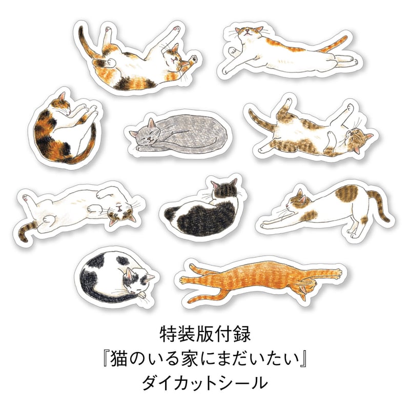 直筆サイン入り／特装版・通常版】猫のいる家にまだいたい | Cat's