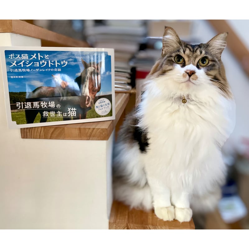 ボス猫メトとメイショウドトウ | Cat's Meow Books Virtual Shop β