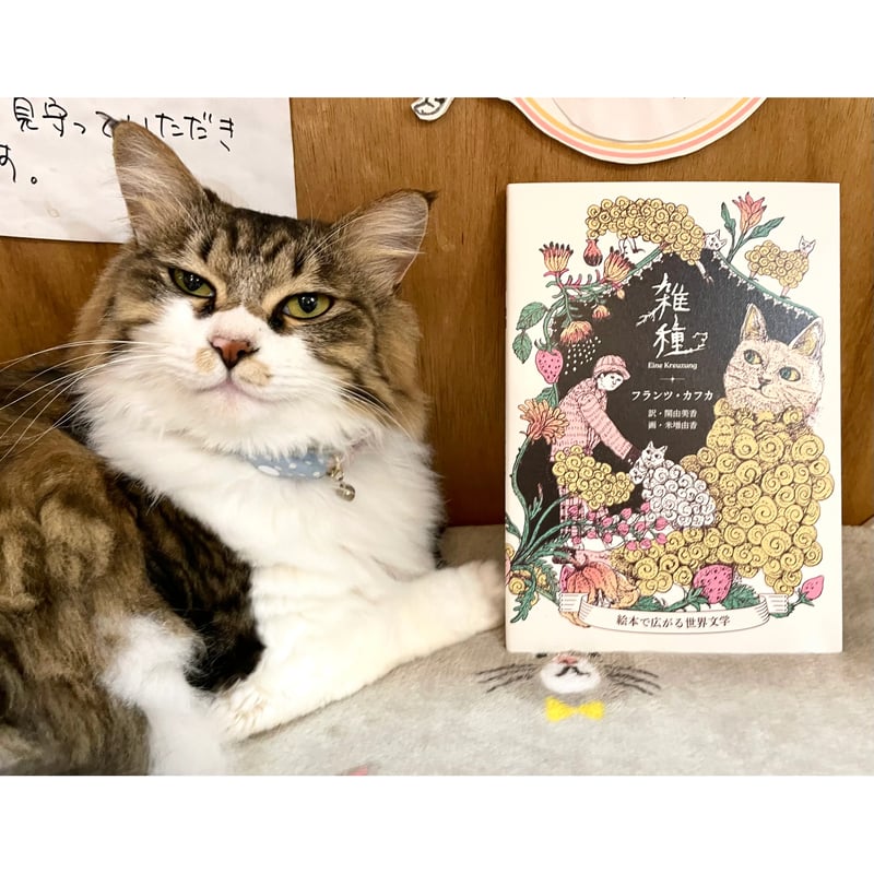 送料無料】雑種 絵本で広がる世界文学 | Cat's Meow Books Virtual