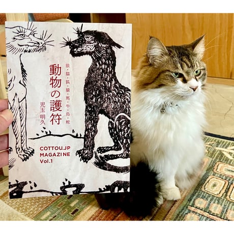CATEGORY 普通の本屋さんで売ってない | Cat's Meow Books Virtu
