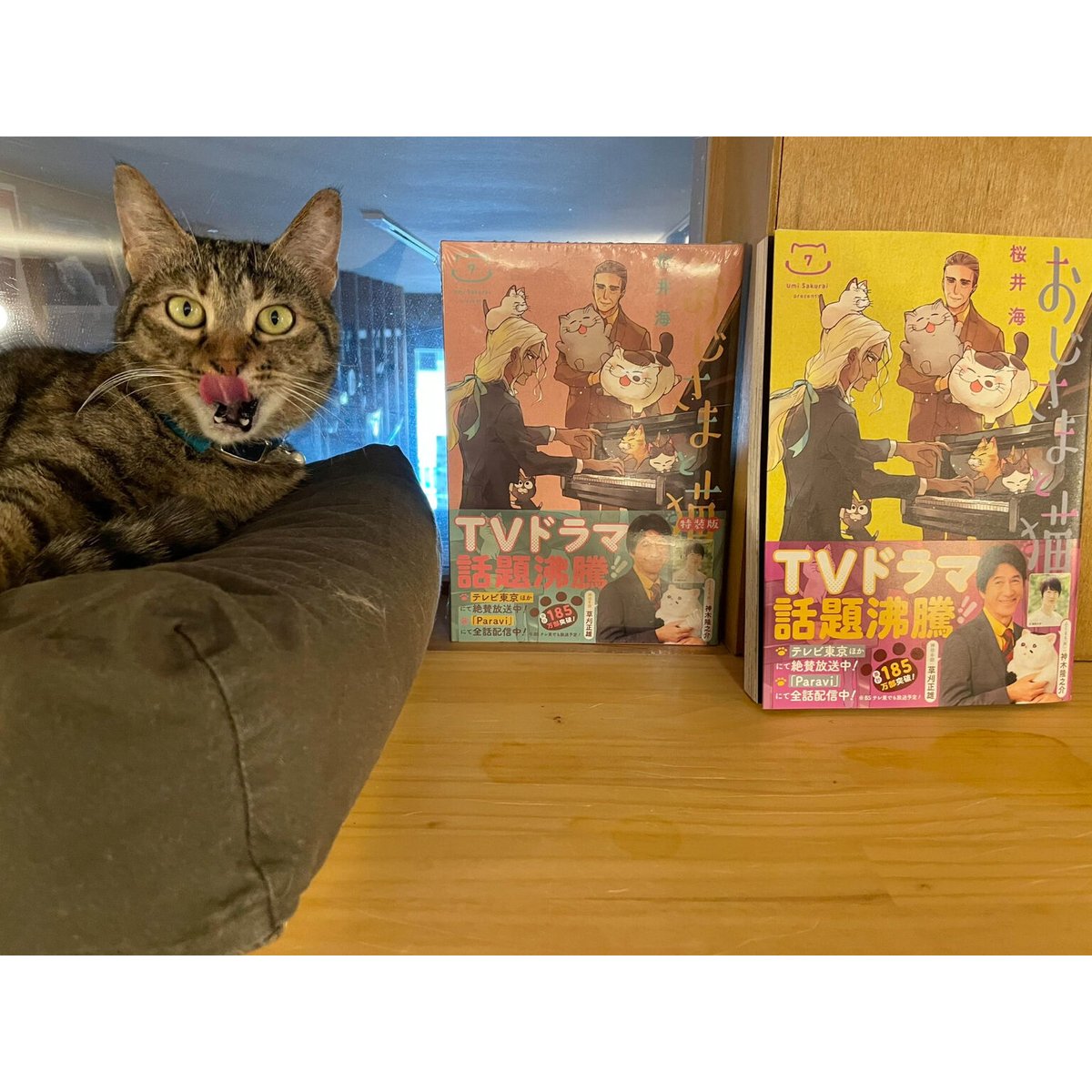 おじさまと猫（1～16巻） | Cat's Meow Books Virtual Shop β